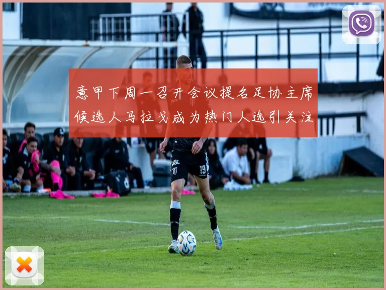 意甲下周一召开会议提名足协主席候选人马拉戈成为热门人选引关注