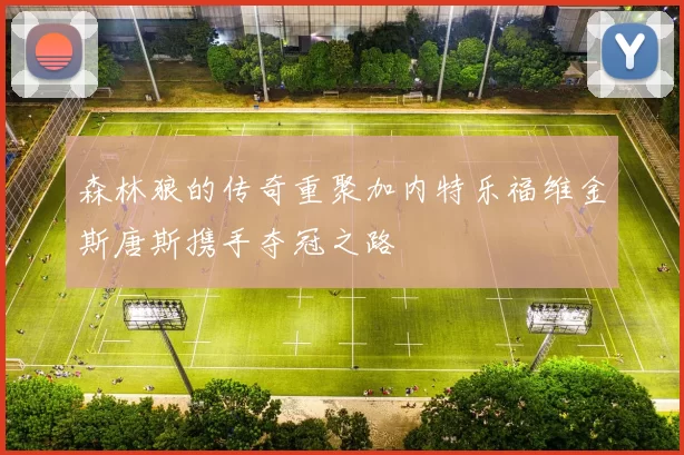 森林狼的传奇重聚加内特乐福维金斯唐斯携手夺冠之路